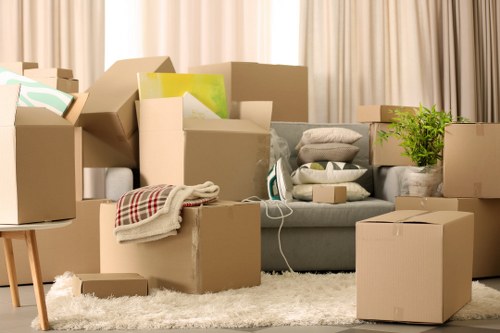 Flexible Man With Van Raynerslane support for local relocations