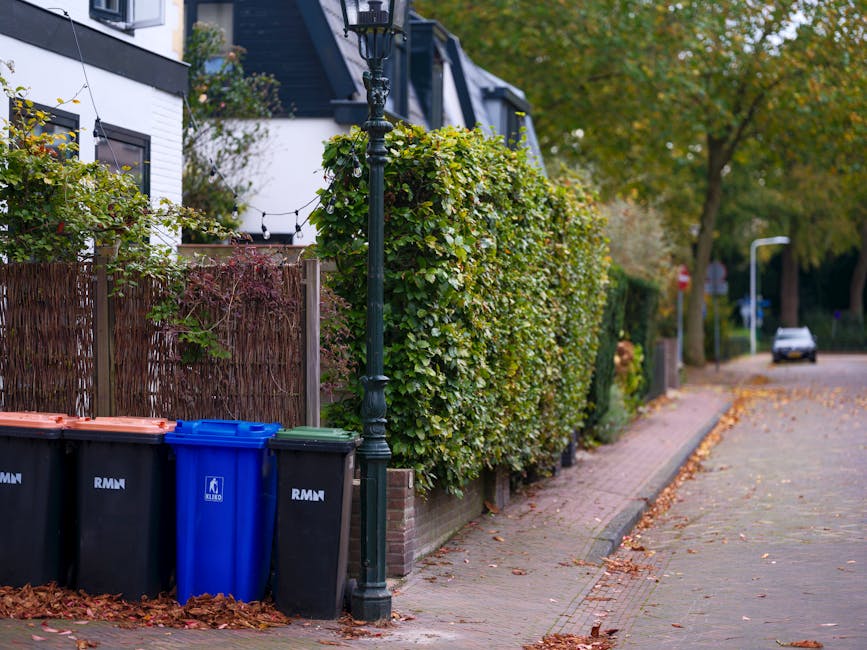 A street scene during daytime showing a sidewalk with a row of green, leafy hedges along a residential property. In the foreground, there are four large wheelie bins—two black, one blue, and one brown—placed next to a black lamppost. The bins are positioned on the pavement near the property’s boundary, and some fallen autumn leaves are scattered on the ground. Behind the hedges, part of a white house with black window frames and a dark roof is visible, with outdoor string lights hanging above. Further along the street, a parked car and additional trees with autumn foliage can be seen. The scene captures a typical suburban environment suitable for house removals, packing, and furniture transport activities, with clear emphasis on outdoor property clearance and waste disposal as part of the home relocation process, as carried out by Man with Van Rayners Lane.